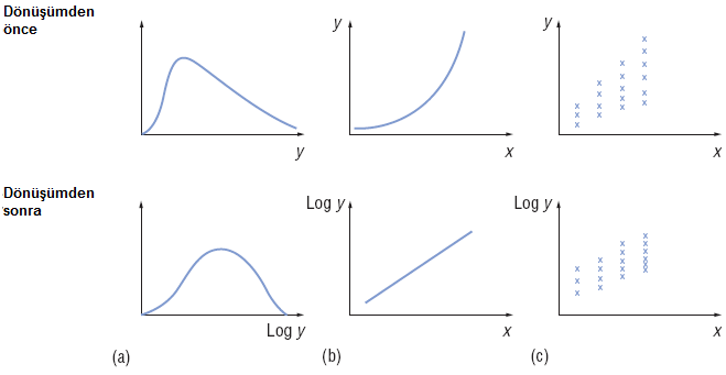Logaritmik dönüşümün etkileri
